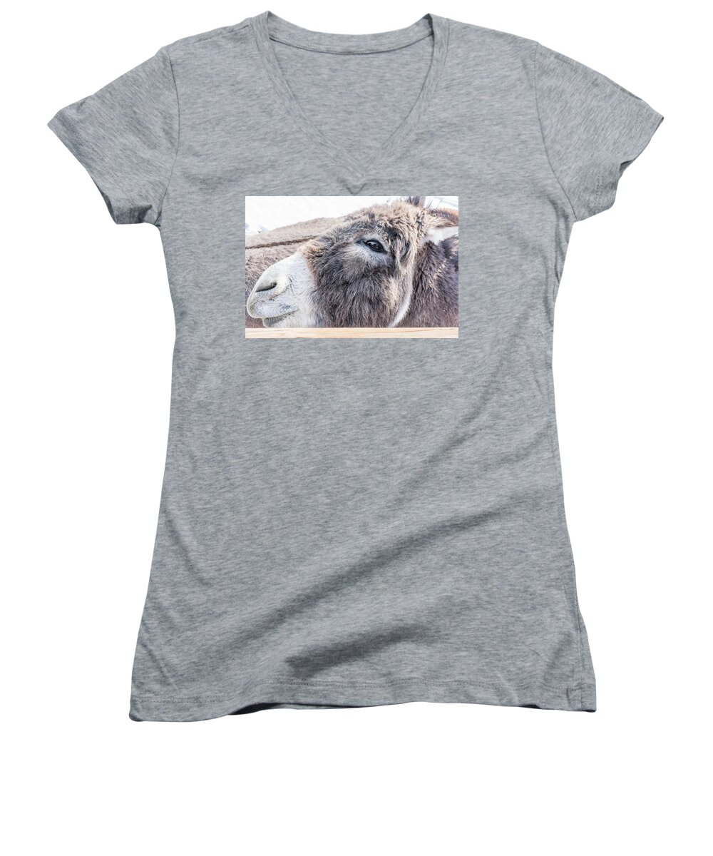 Donkey Women's V-Neck featuring the photograph Reflected In His Eye by Jennifer Grossnickle