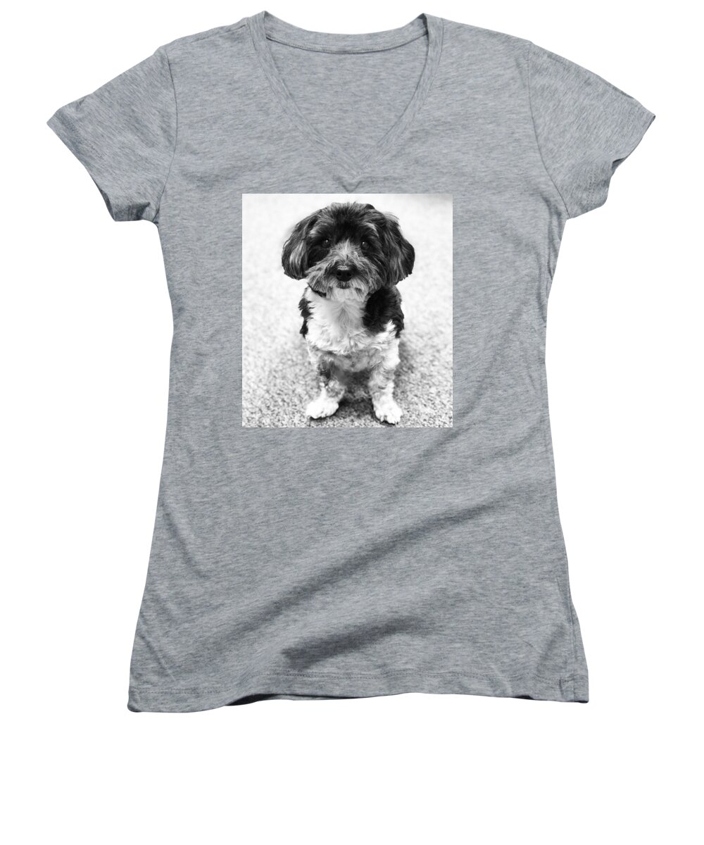  Women's V-Neck featuring the digital art Reggie by Allie Maher