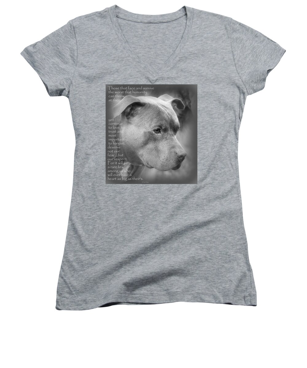 Pit Bull Women's V-Neck featuring the photograph Respect by Sue Long