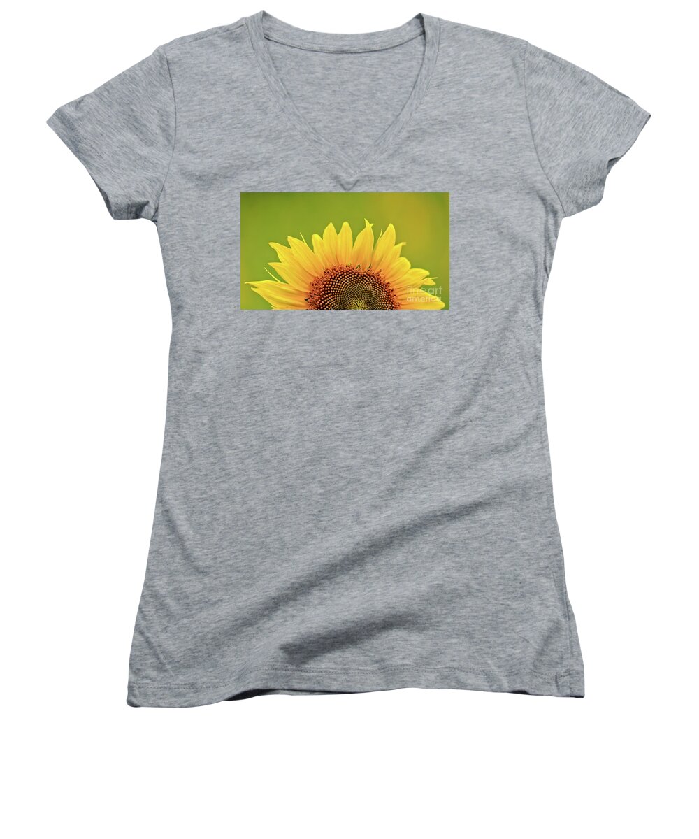 Anderson Sunflower Farm Women's V-Neck featuring the photograph Rise And Shine by Doug Sturgess