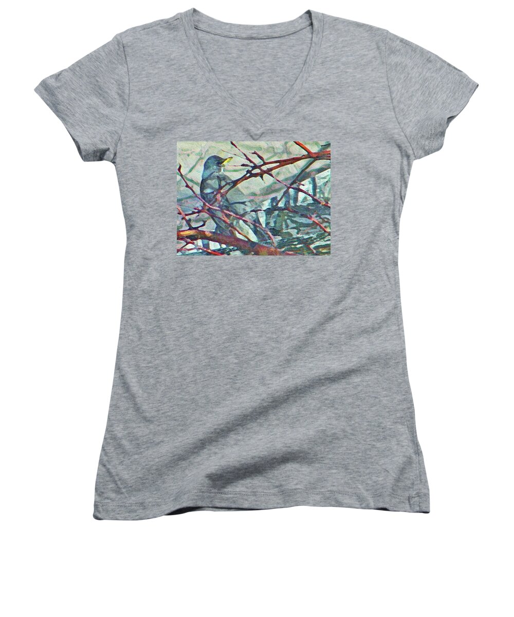 Abstract Women's V-Neck featuring the photograph Robins Impression of Spring by Lenore Senior