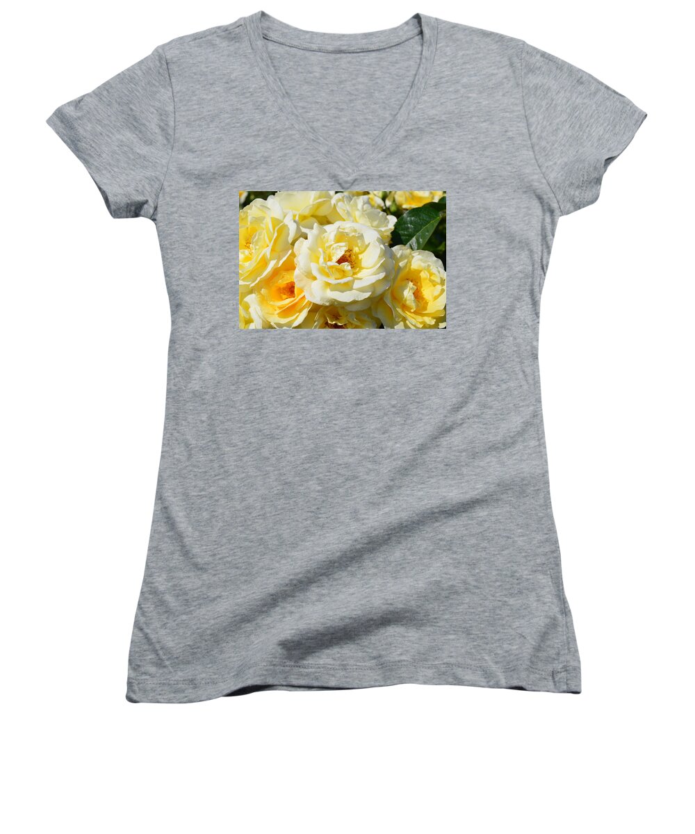 Flowers Women's V-Neck featuring the photograph Rose Bush by Charles HALL