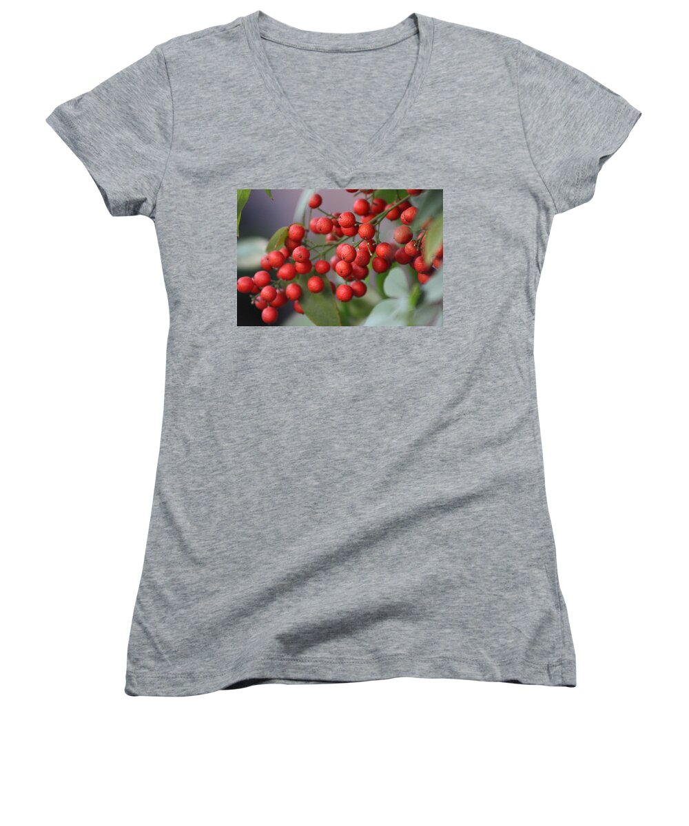 Ruby Red Berries Women's V-Neck featuring the photograph Ruby Red Berries by Colleen Cornelius