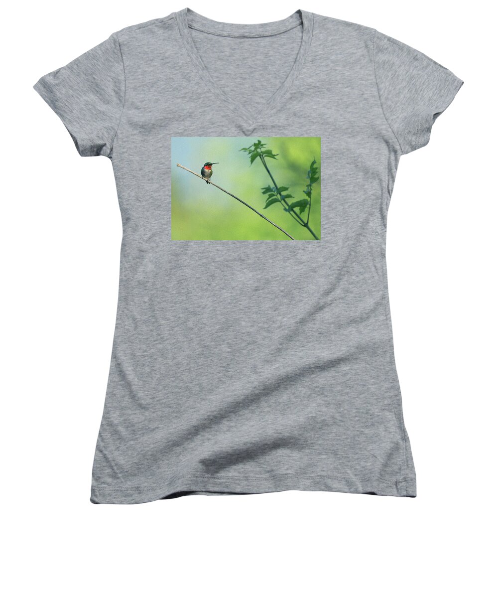 Hummingbird Women's V-Neck featuring the photograph Ruby Red Perch by Art Cole