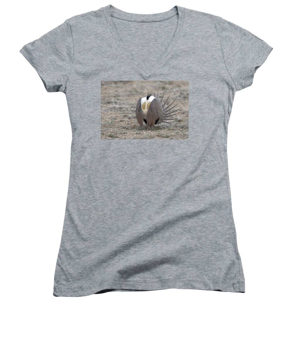 Grouse Women's V-Neck featuring the photograph Sage Grouse by Gary Beeler