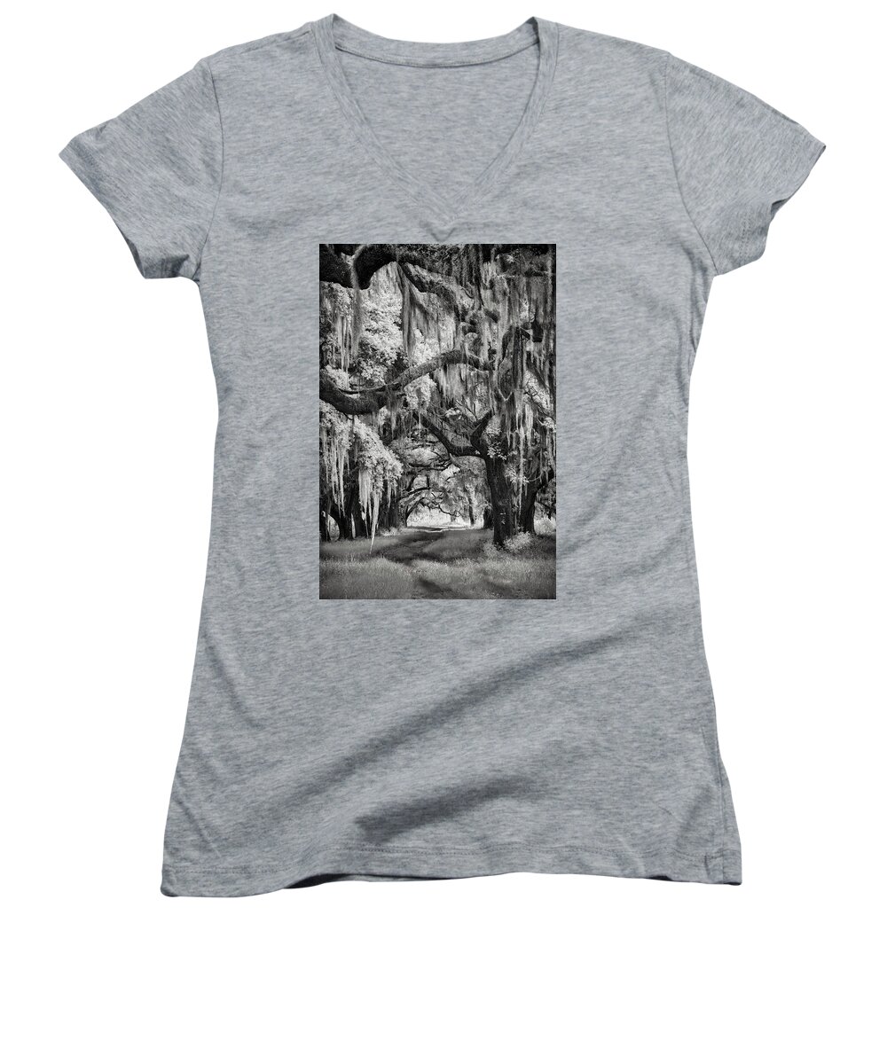Artwork Women's V-Neck featuring the photograph Savannah's Forest by Jon Glaser