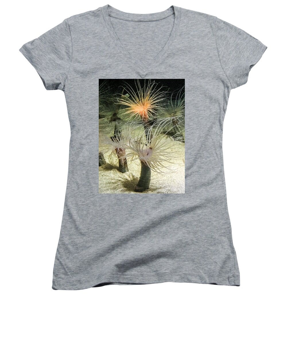  Sea Anemones Women's V-Neck featuring the photograph Sea Flower by Daniel Hebard