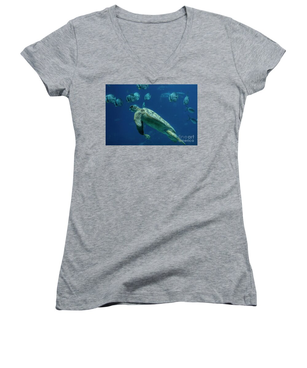 Sea Turtle Women's V-Neck featuring the photograph Sea Turtle by Barbara Bowen