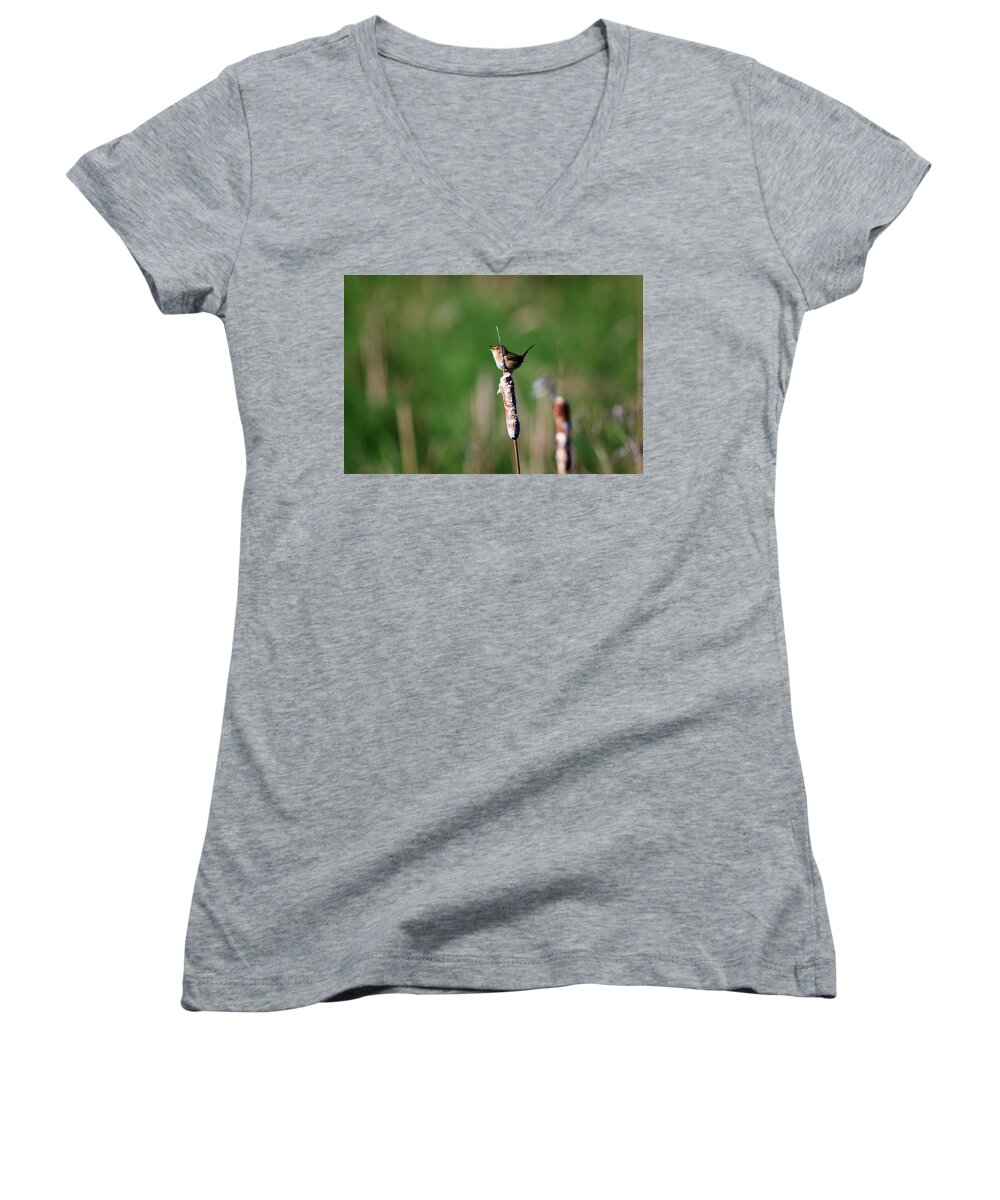Gary Hall Women's V-Neck featuring the photograph Sedge Wren by Gary Hall