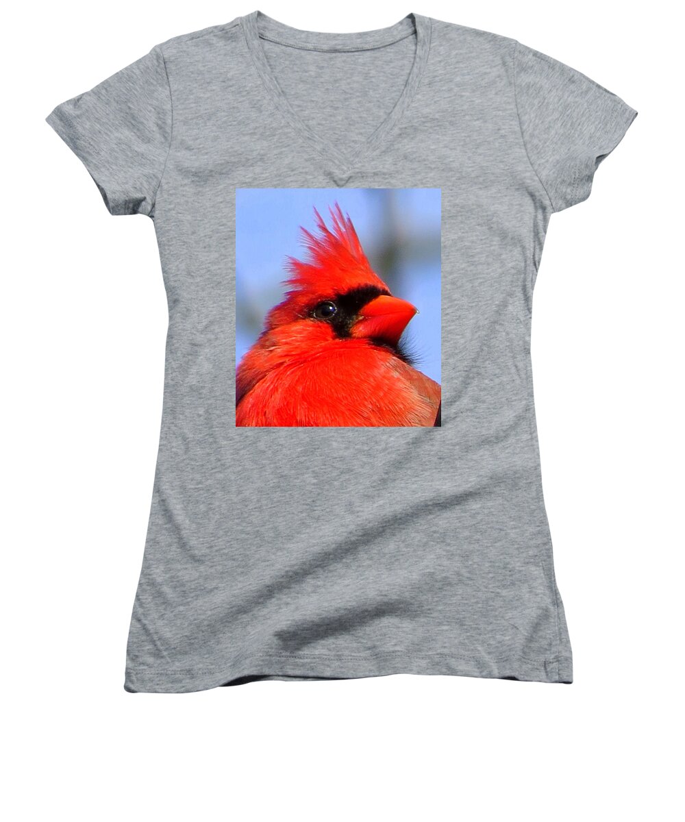 Seeing Red Women's V-Neck featuring the photograph Seeing Red by Suzanne DeGeorge