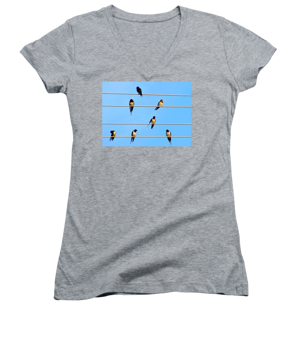 Swallow Women's V-Neck featuring the photograph Seven Swallows by Ana Maria Edulescu