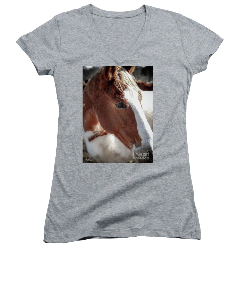 Horses Women's V-Neck featuring the photograph Shelby Farms Horses by Veronica Batterson
