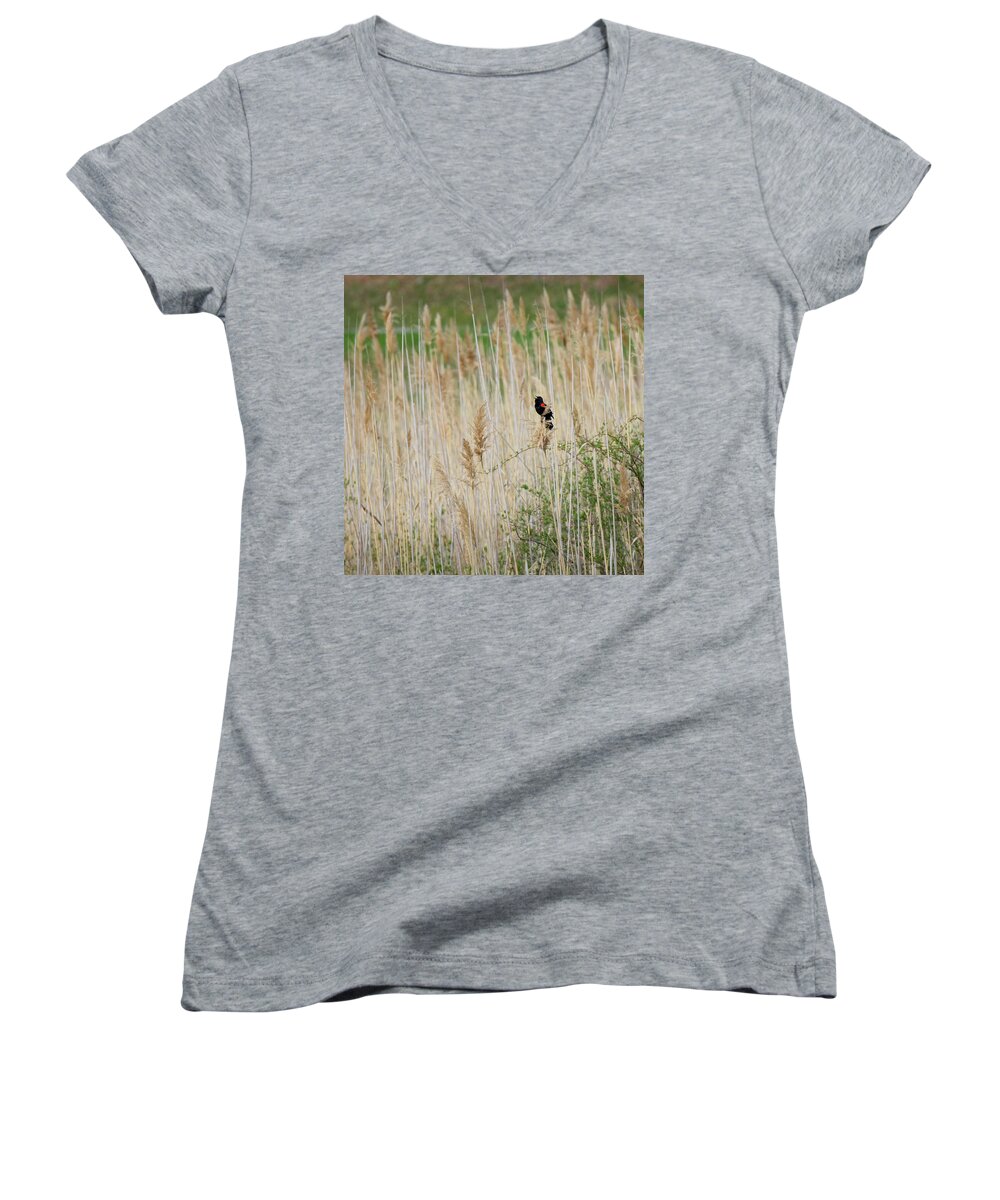 Square Women's V-Neck featuring the photograph Sing for Spring Square by Bill Wakeley