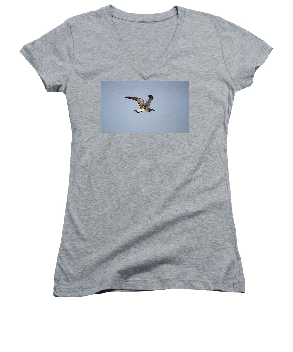Seagull Women's V-Neck featuring the photograph Skimming Seagull by Kenneth Albin