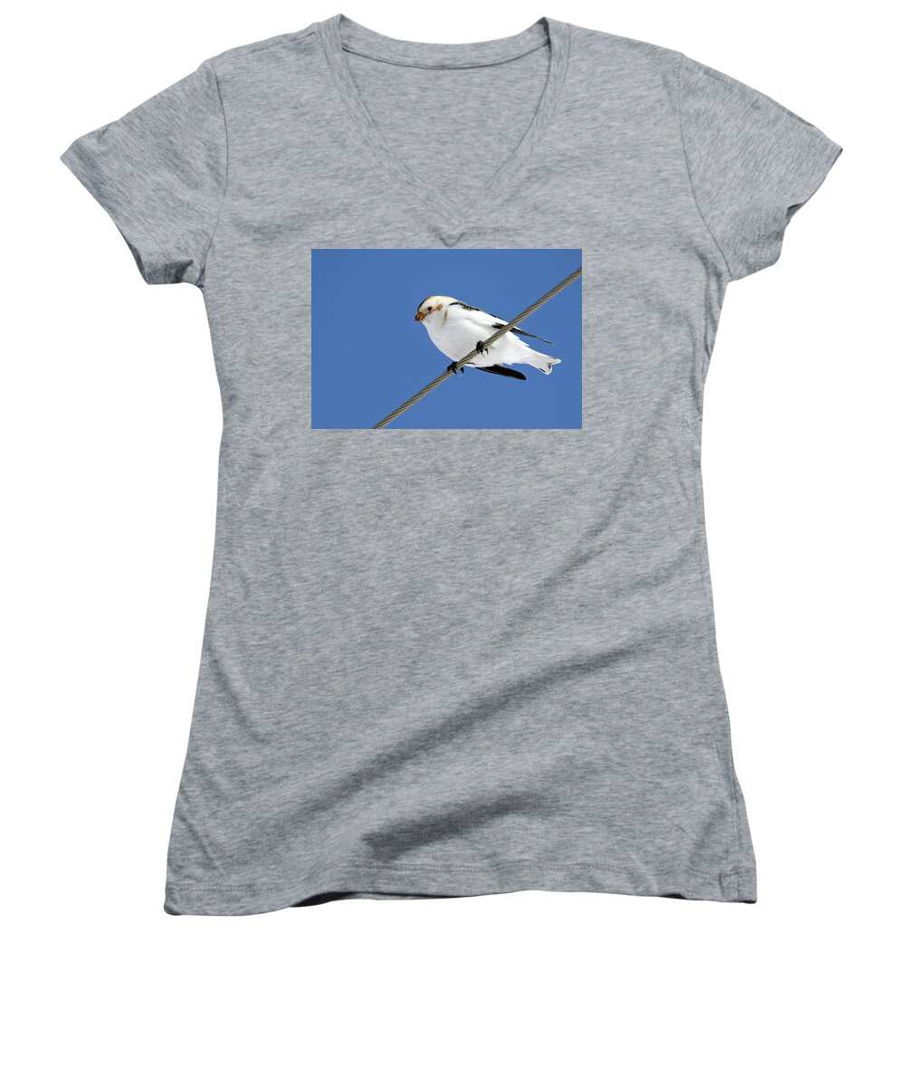Snow Bunting Women's V-Neck featuring the photograph Snow Bunting by Brook Burling