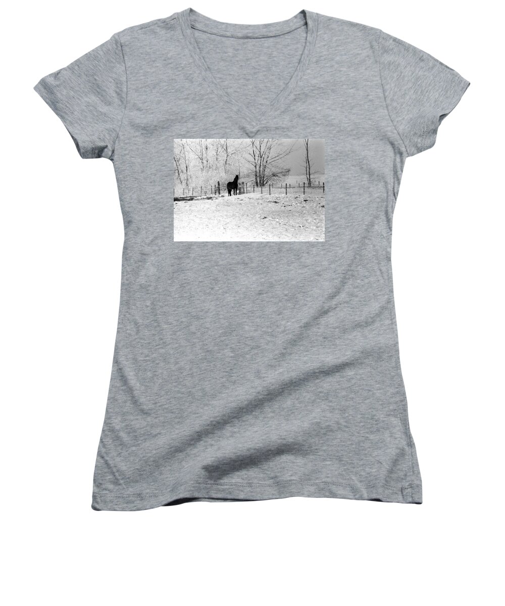 Horse Ward County North Dakota Women's V-Neck featuring the photograph Snow Horse by William Kimble