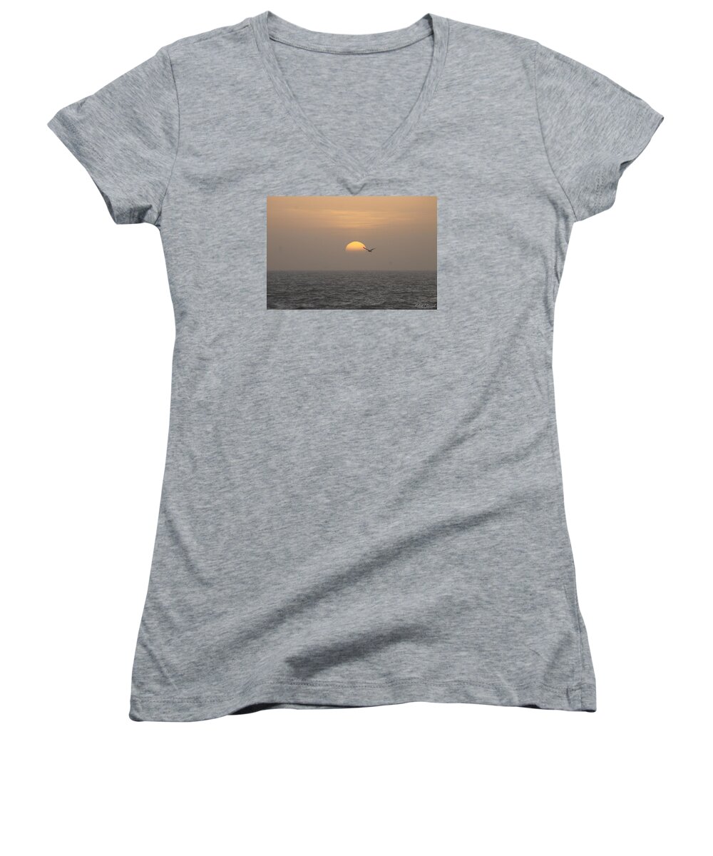 Animals Women's V-Neck featuring the photograph Soaring Through Sunrise by Robert Banach