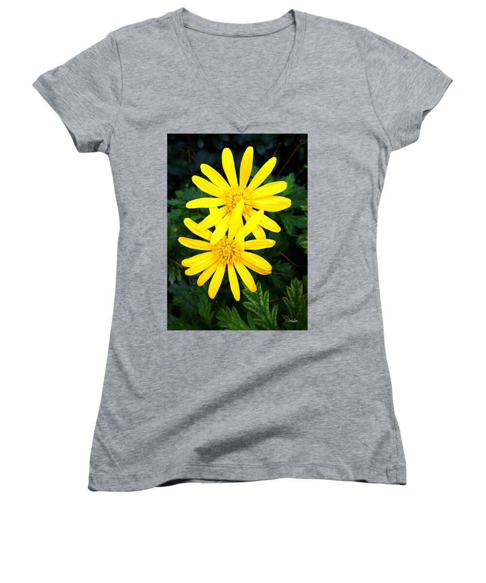 Macro Women's V-Neck featuring the photograph Soul Mates by Nathan Little