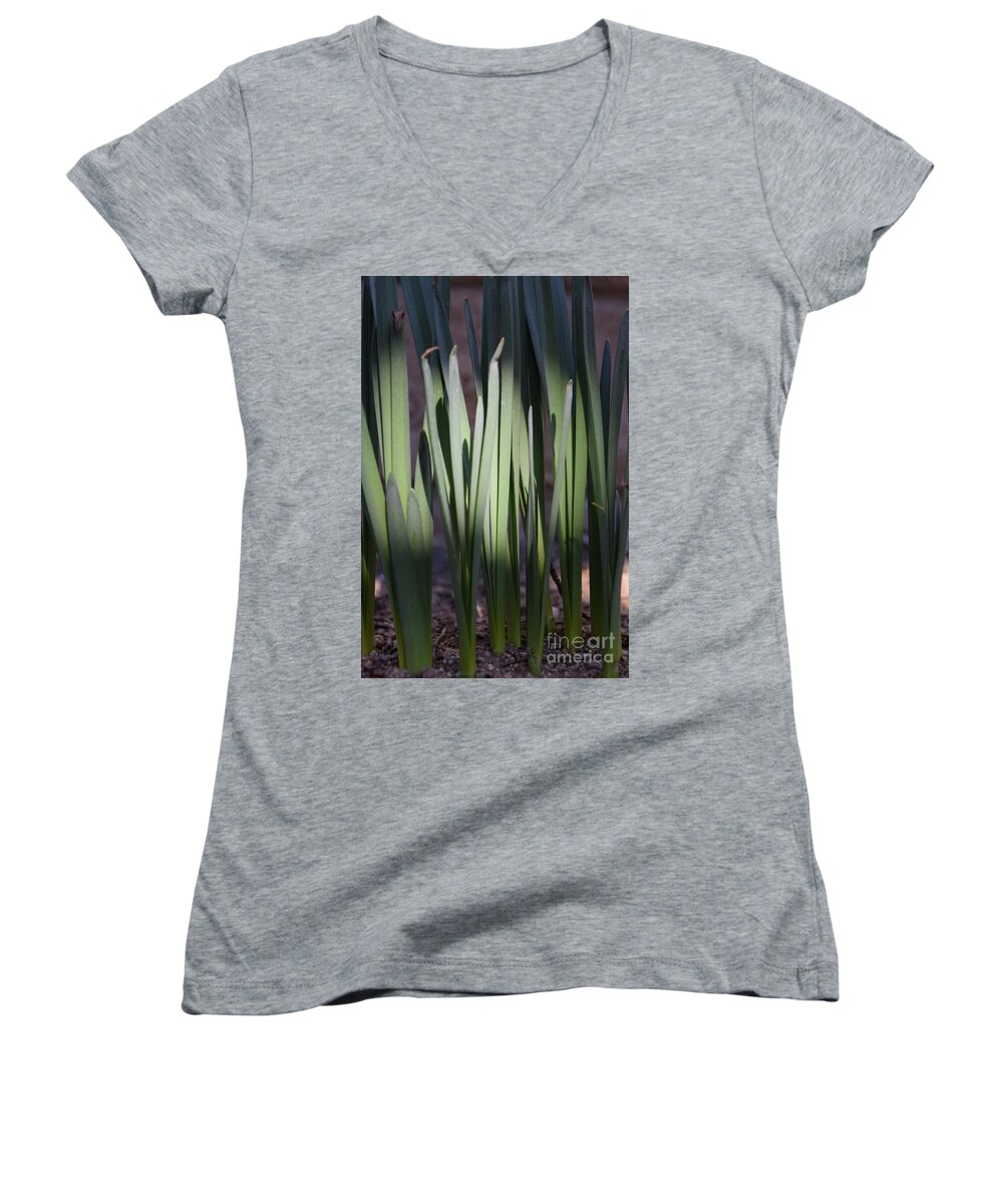 Jmacnairart Women's V-Neck featuring the digital art Spring daffodils bulbs in the morning by Jackie MacNair
