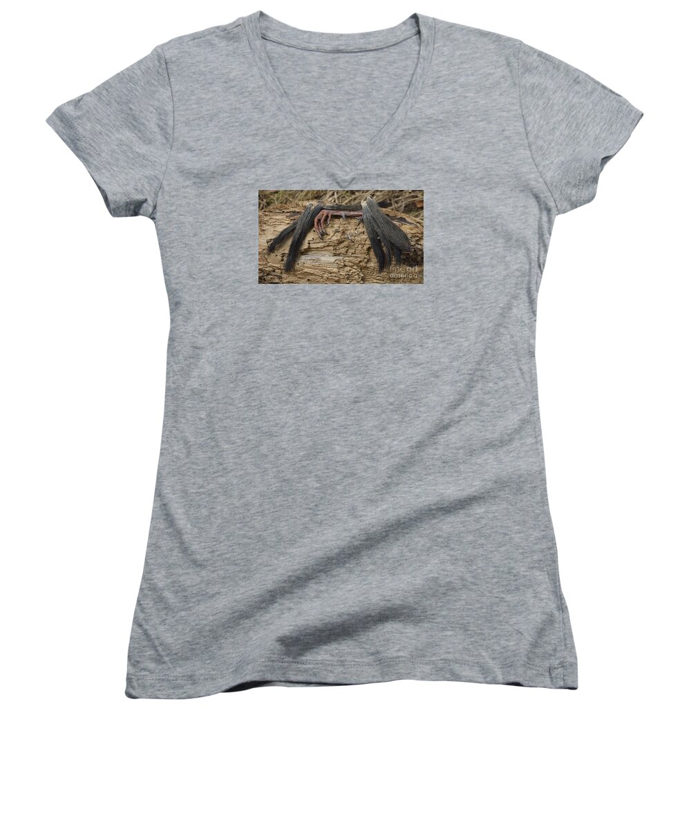 High Virginia Images Women's V-Neck featuring the photograph Spring Feathers by Randy Bodkins