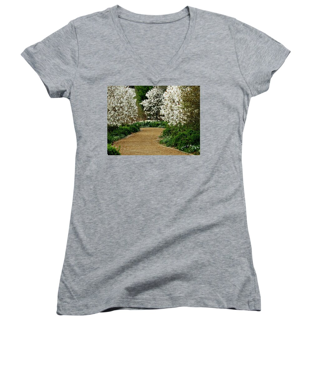 Tree Women's V-Neck featuring the photograph Spring Flowering Trees Wall Art by Carol F Austin