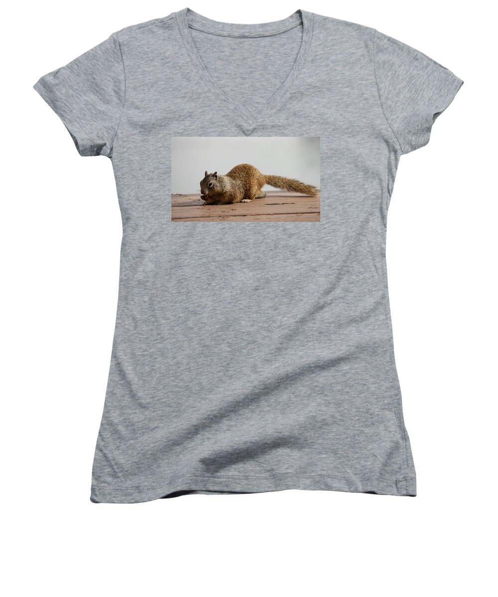 Wild Women's V-Neck featuring the photograph Squirrel Snack 3 by Christy Pooschke