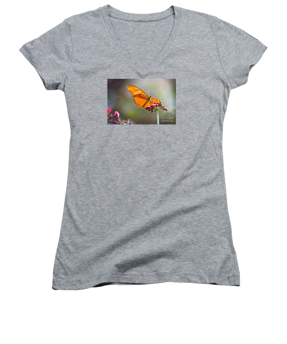 Butterfly Women's V-Neck featuring the photograph Stained Glass Wings by Sharon McConnell