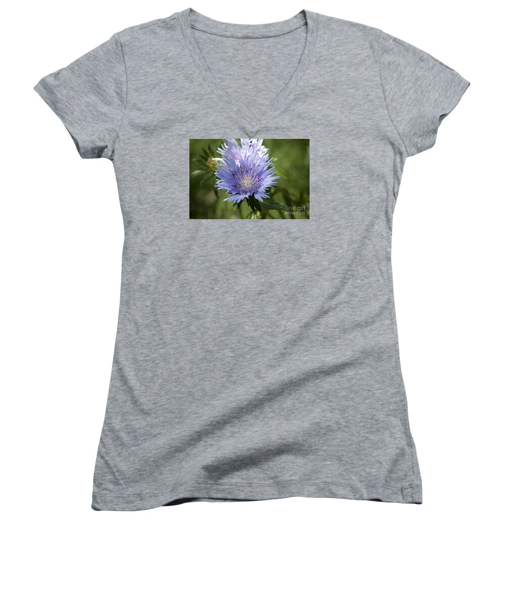 Stokes Aster Women's V-Neck featuring the photograph Stokes Aster 20120703_125a by Tina Hopkins