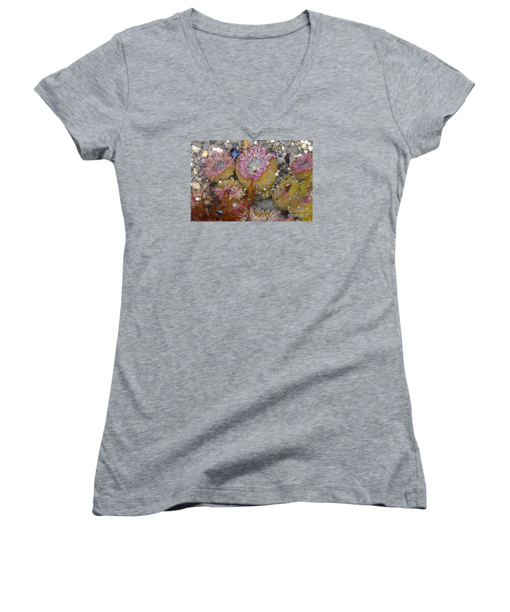 Ruby Beach And Beach 4 Women's V-Neck featuring the photograph Strawberry Anemonies by Chuck Flewelling