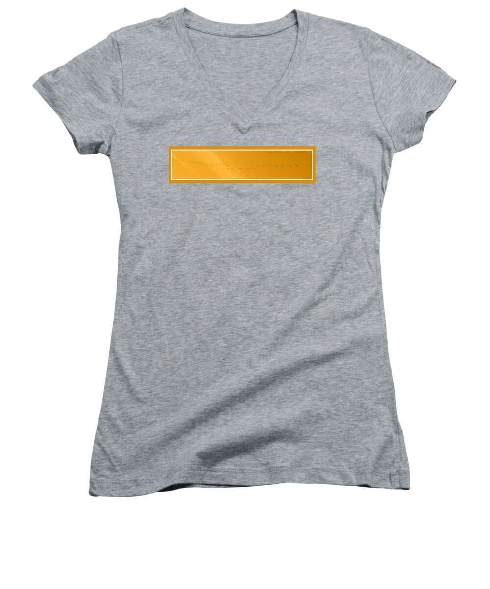Birds Women's V-Neck featuring the photograph String of Birds in Orange by Mary Mikawoz