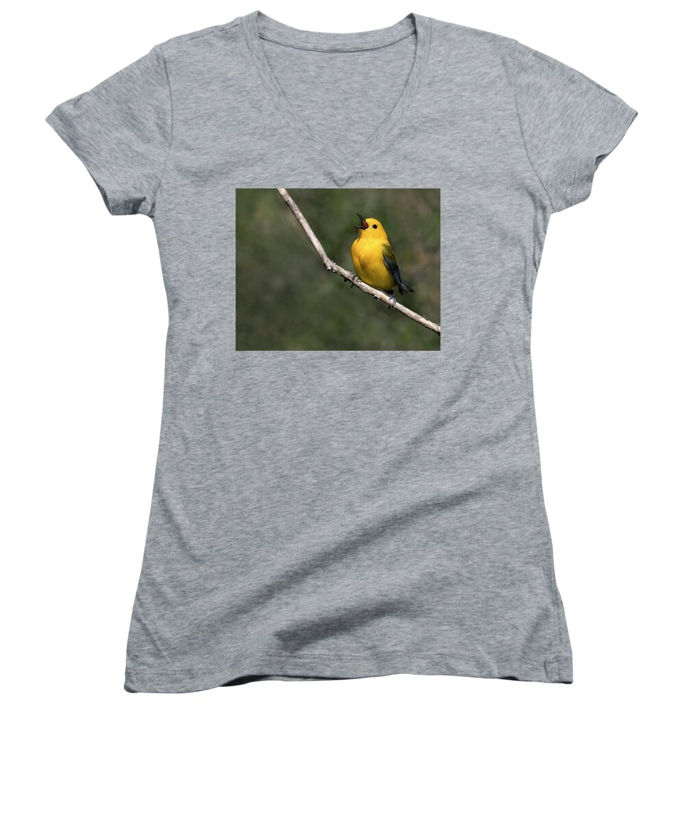 Warbler Women's V-Neck featuring the photograph Strong Song by Art Cole