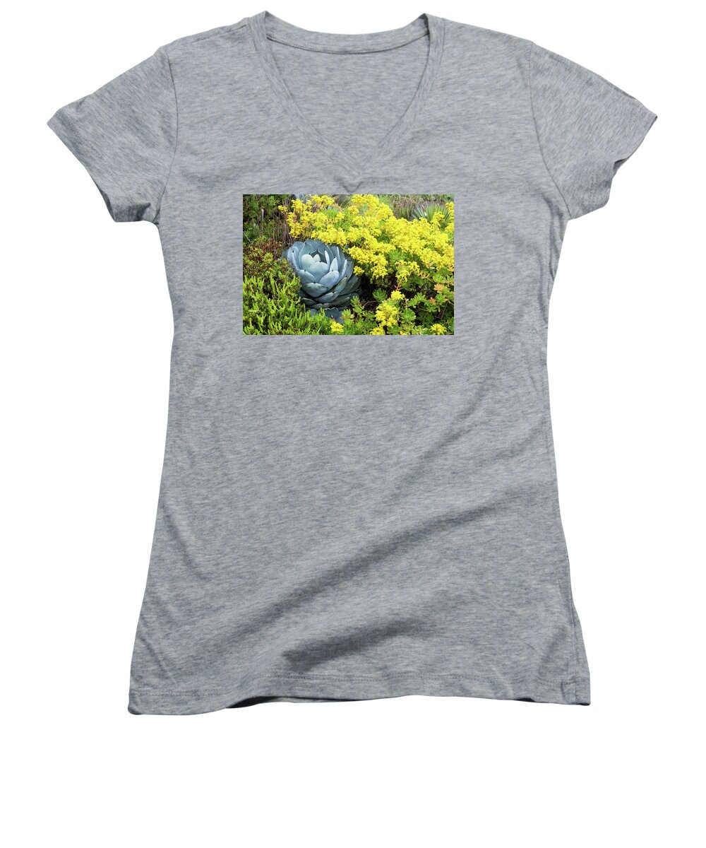 Succulents Women's V-Neck featuring the photograph Sucuclents by Catherine Lau