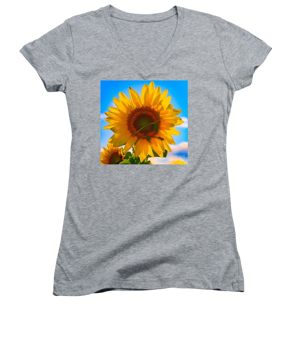  Sunflower Women's V-Neck featuring the photograph Sun Thrive by Michelle Stradford