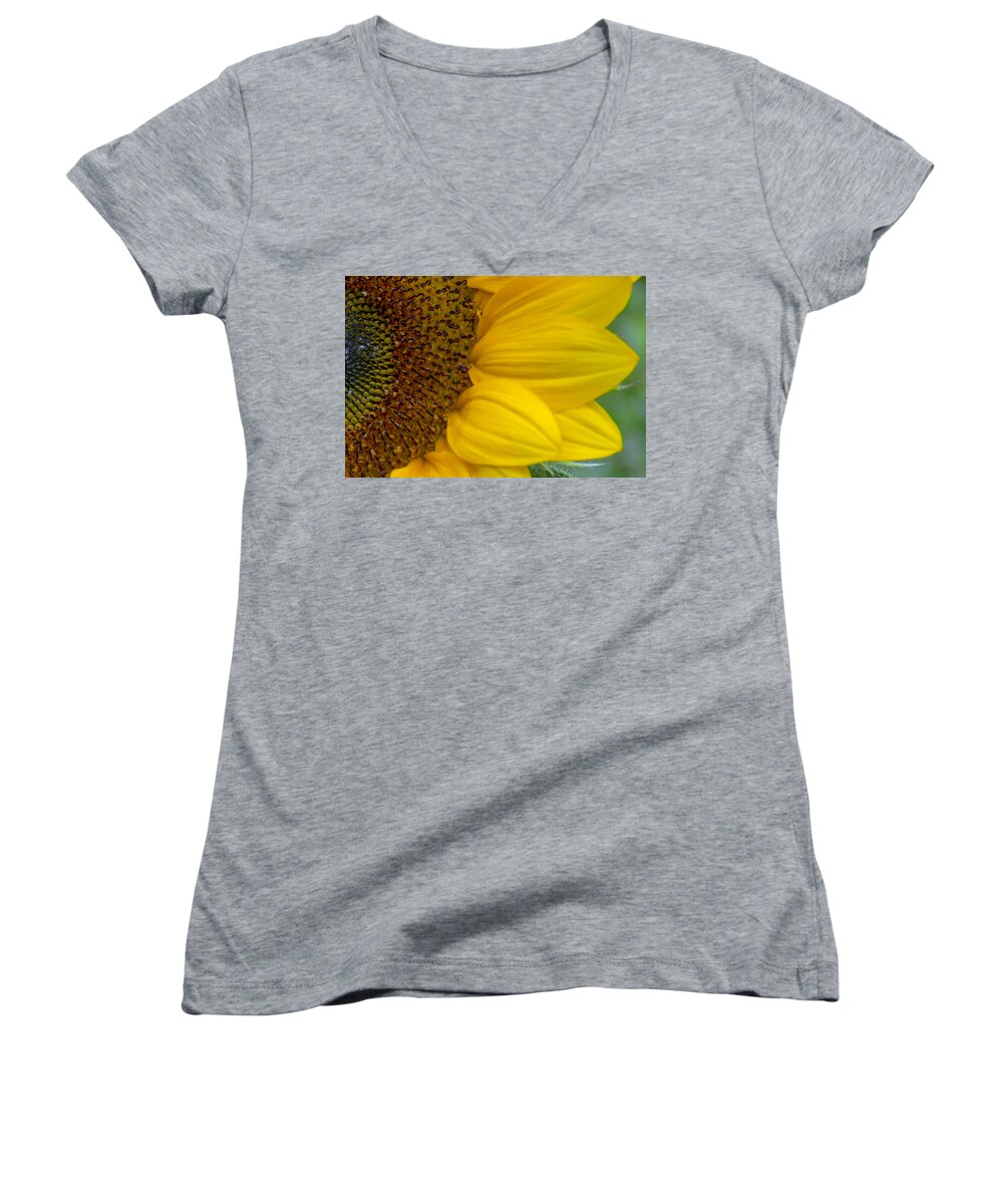 Flower Women's V-Neck featuring the photograph Sunflower Closeup by Allen Nice-Webb