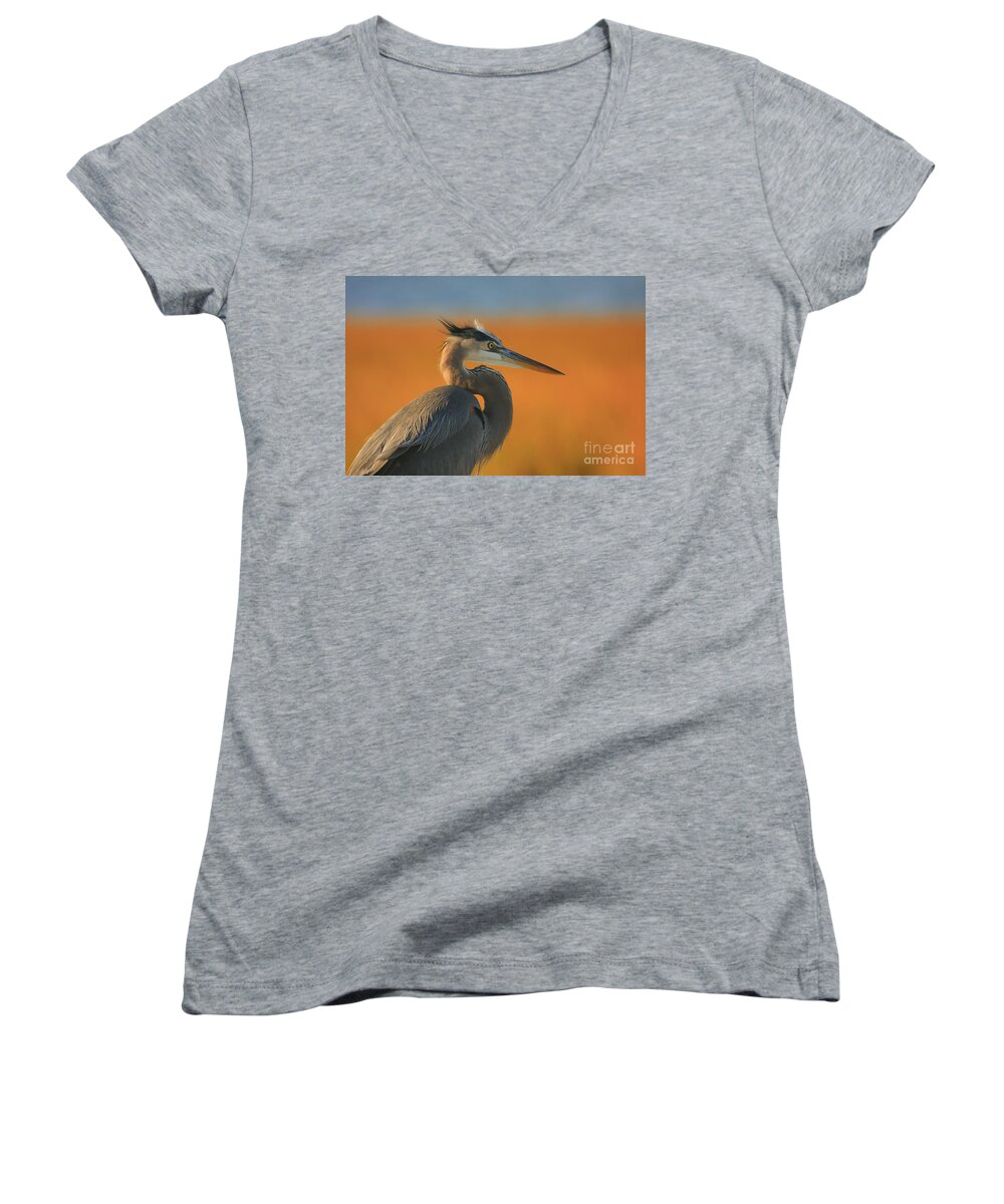 Great Blue Heron Women's V-Neck featuring the photograph Sunset Reeds by John F Tsumas