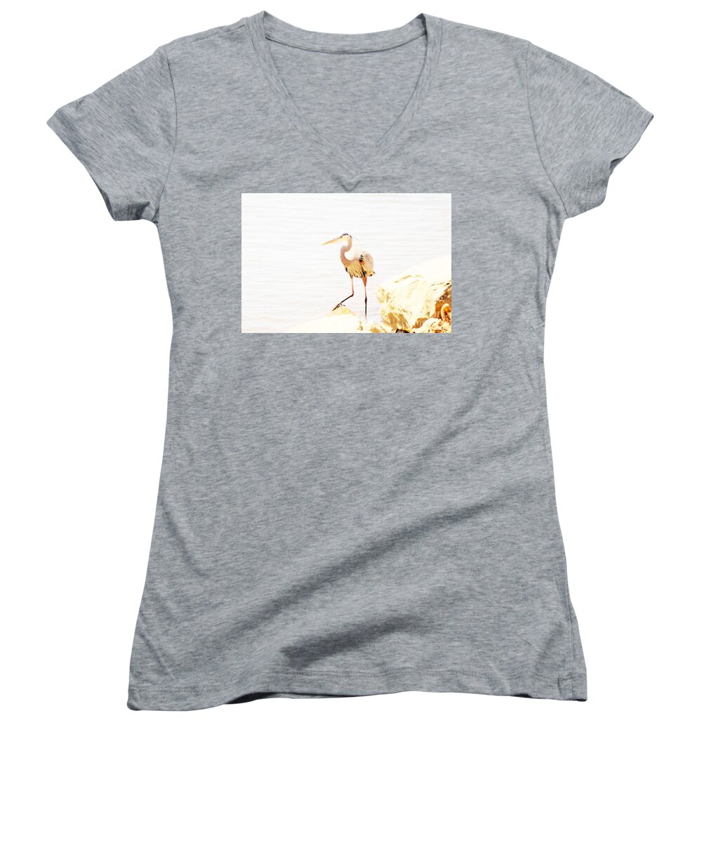 Bird Women's V-Neck featuring the photograph Surveying by Merle Grenz