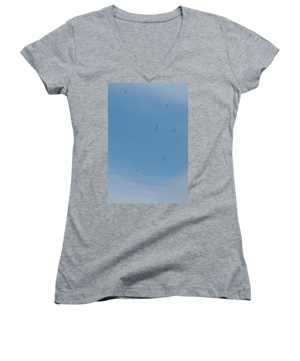 Kites Women's V-Neck featuring the photograph Swallow-tailed Kite Kettle by Paul Rebmann