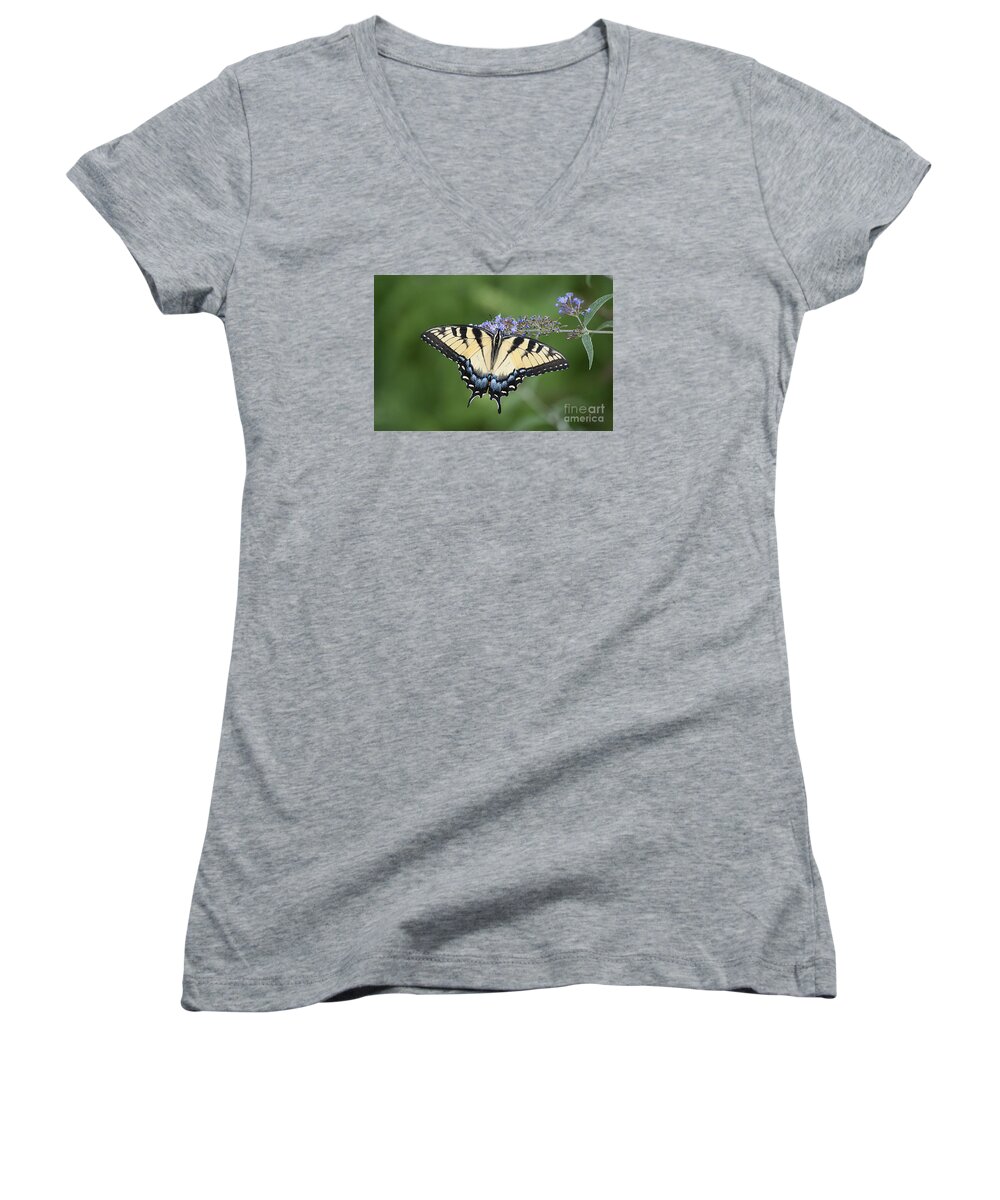 Swallowtail Women's V-Neck featuring the photograph Swallowtail 20120723_24a by Tina Hopkins