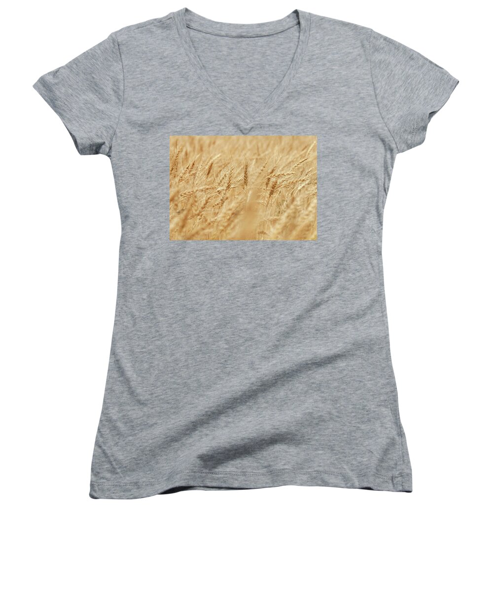 Wheat Field Women's V-Neck featuring the photograph Swaying in the Wind by Keith Armstrong