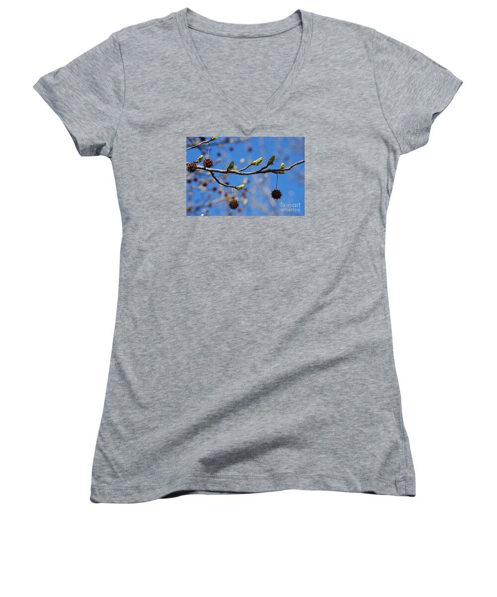 Sweet Gum Women's V-Neck featuring the photograph Sweet Gum Catkins 20120405_206a by Tina Hopkins