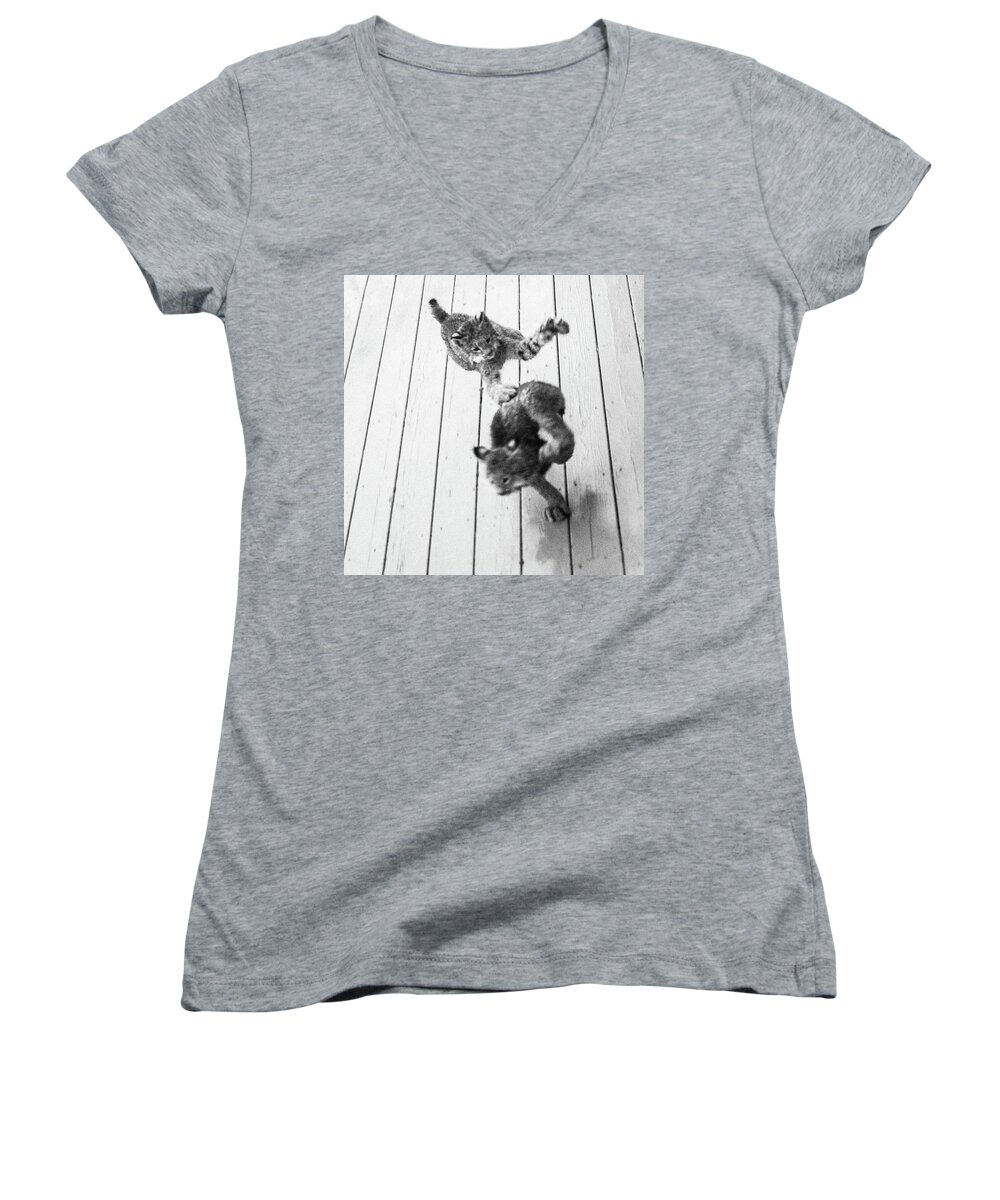 Lynx Women's V-Neck featuring the photograph Tag Youre It by Tim Newton
