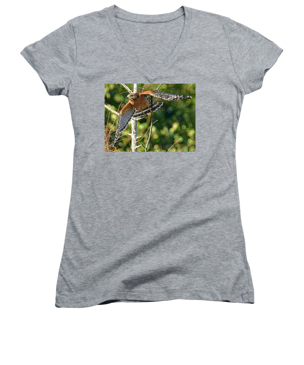Hawk Women's V-Neck featuring the photograph Take Off by Don Durfee