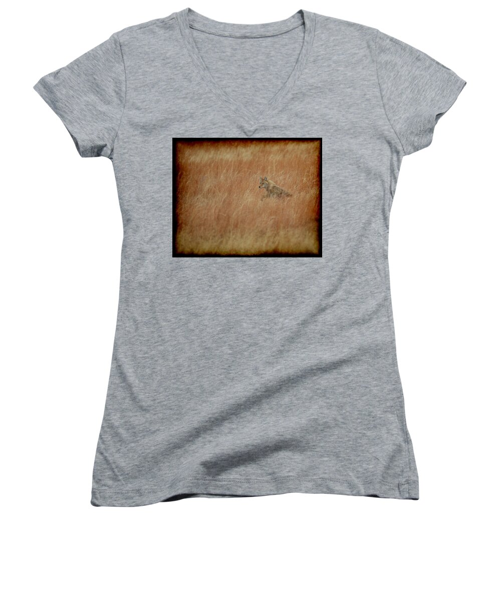 Coyote Women's V-Neck featuring the photograph The Coyote by Ernest Echols