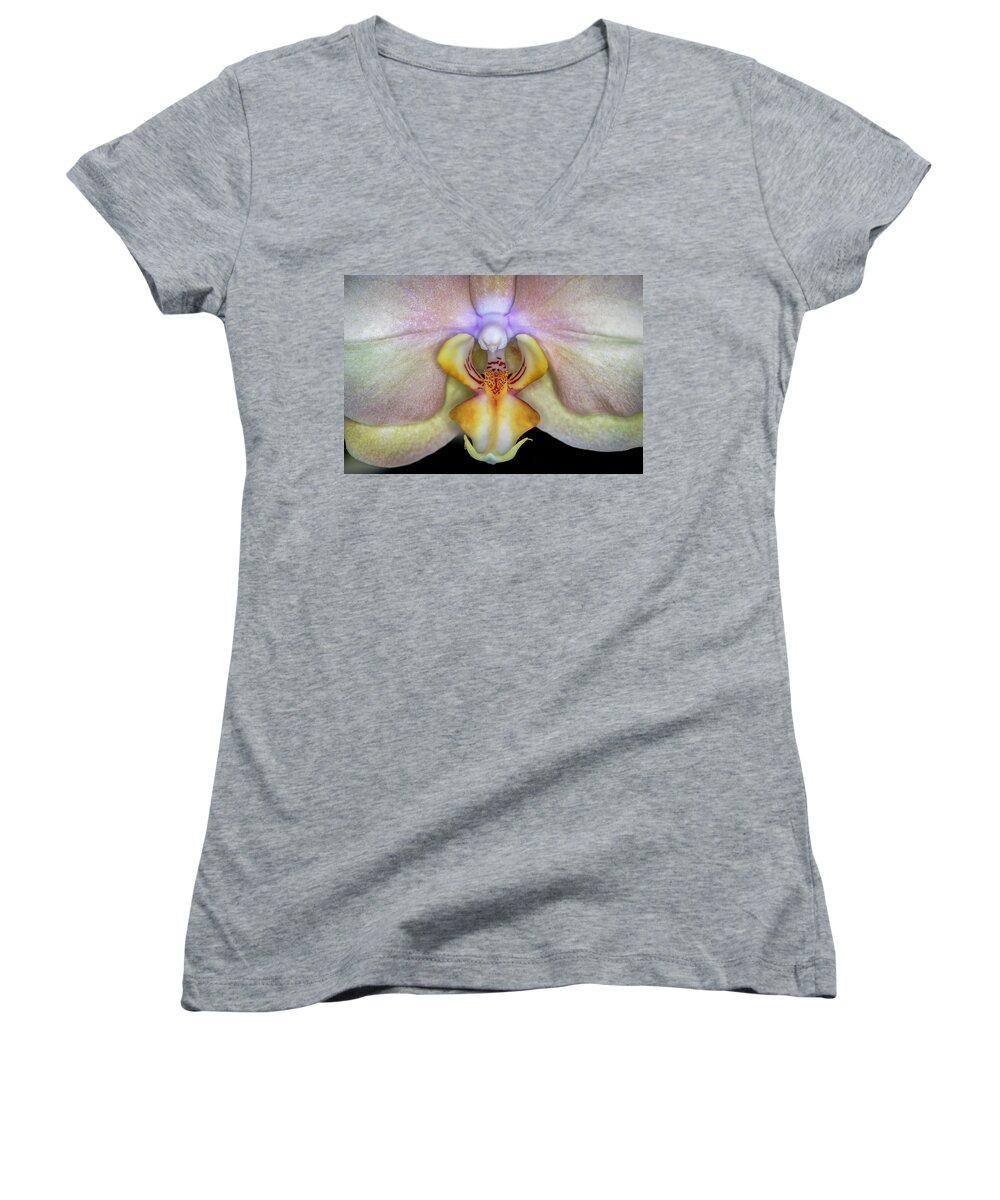 Orchid Women's V-Neck featuring the photograph The Orchid by The Flying Photographer