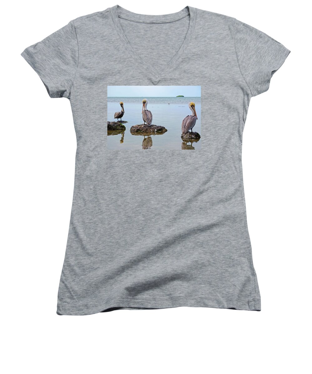 Wildlife Women's V-Neck featuring the photograph The Sentinels by Kenneth Albin