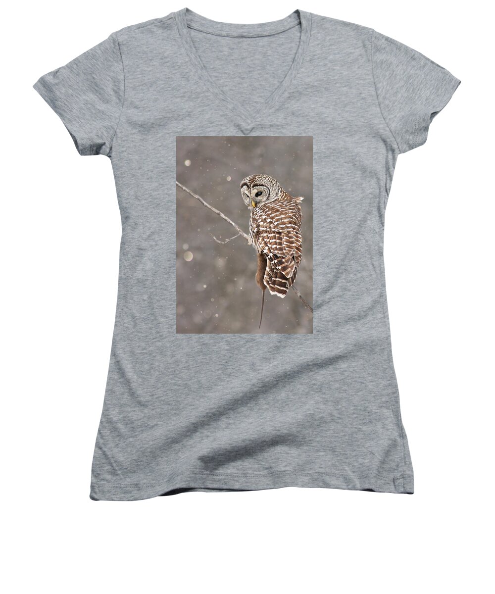 Owl Women's V-Neck featuring the photograph The Silent Hunter by Mircea Costina Photography
