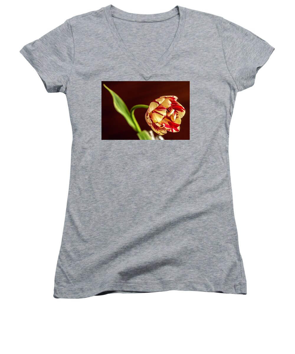 Tulip Women's V-Neck featuring the photograph The Tulip's bow by Wolfgang Stocker