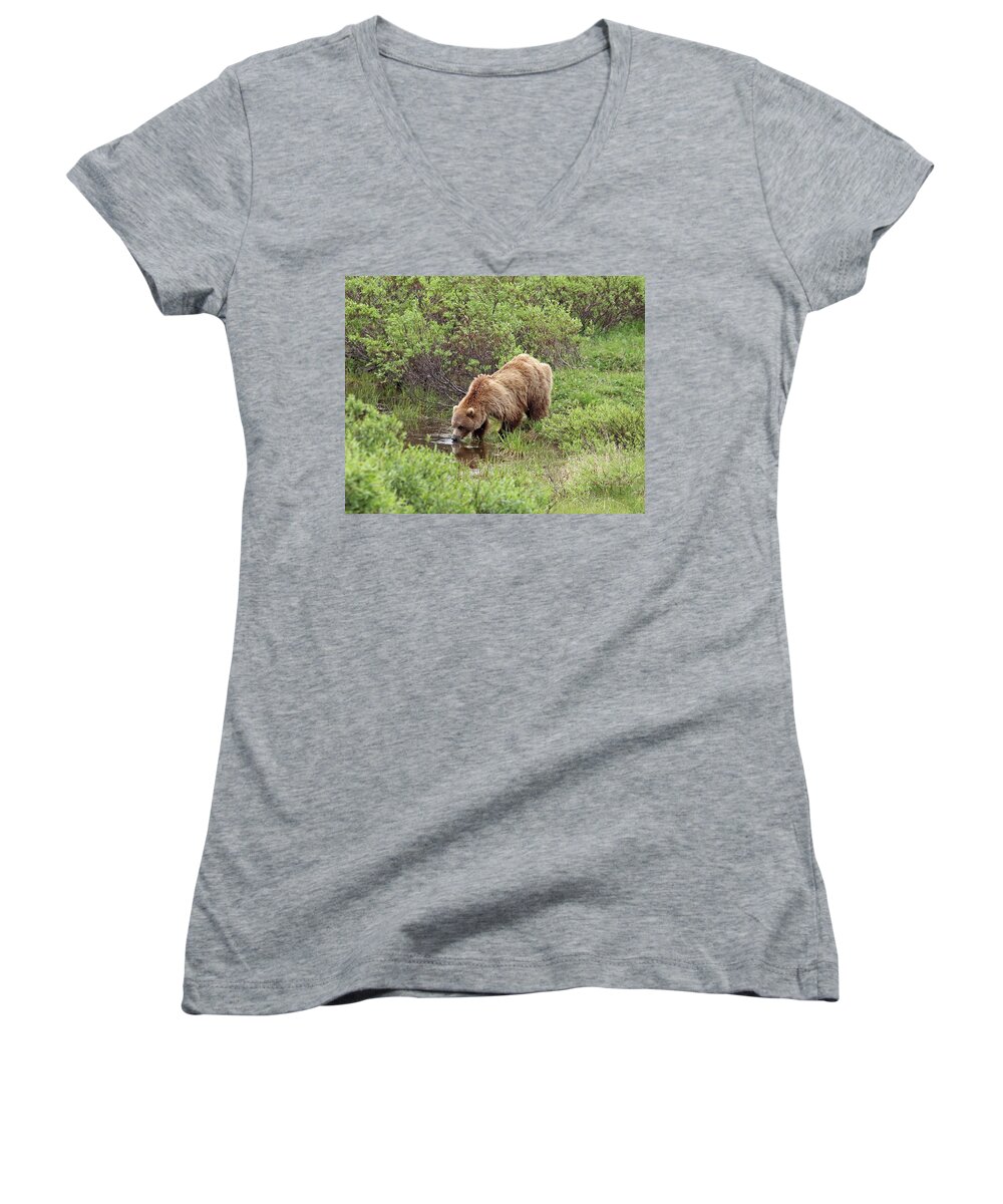Grizzly Women's V-Neck featuring the photograph Thirsty Grizzly by Jean Clark