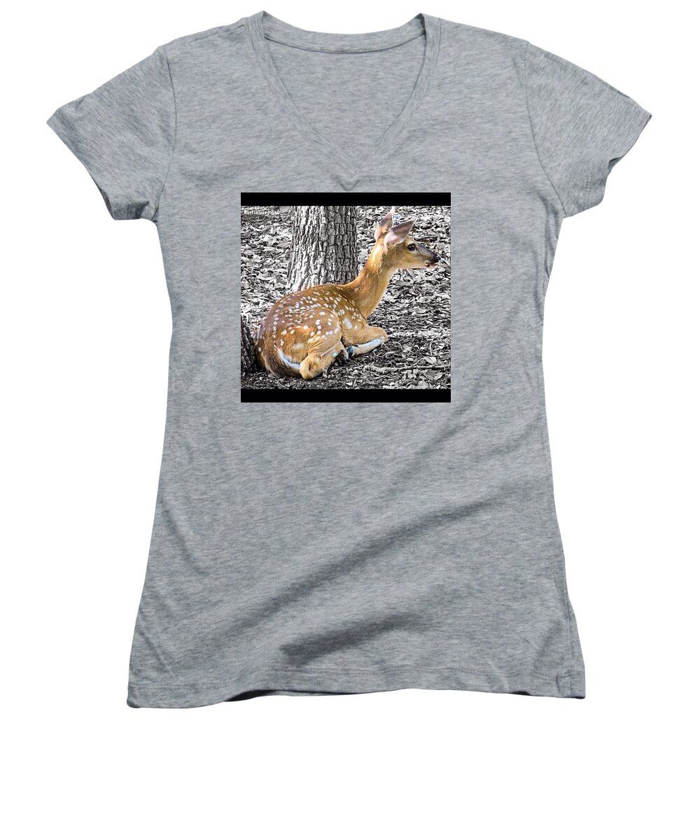 Animalsaddict Women's V-Neck featuring the photograph This Poor Little #doe Is Just Trying To by Austin Tuxedo Cat