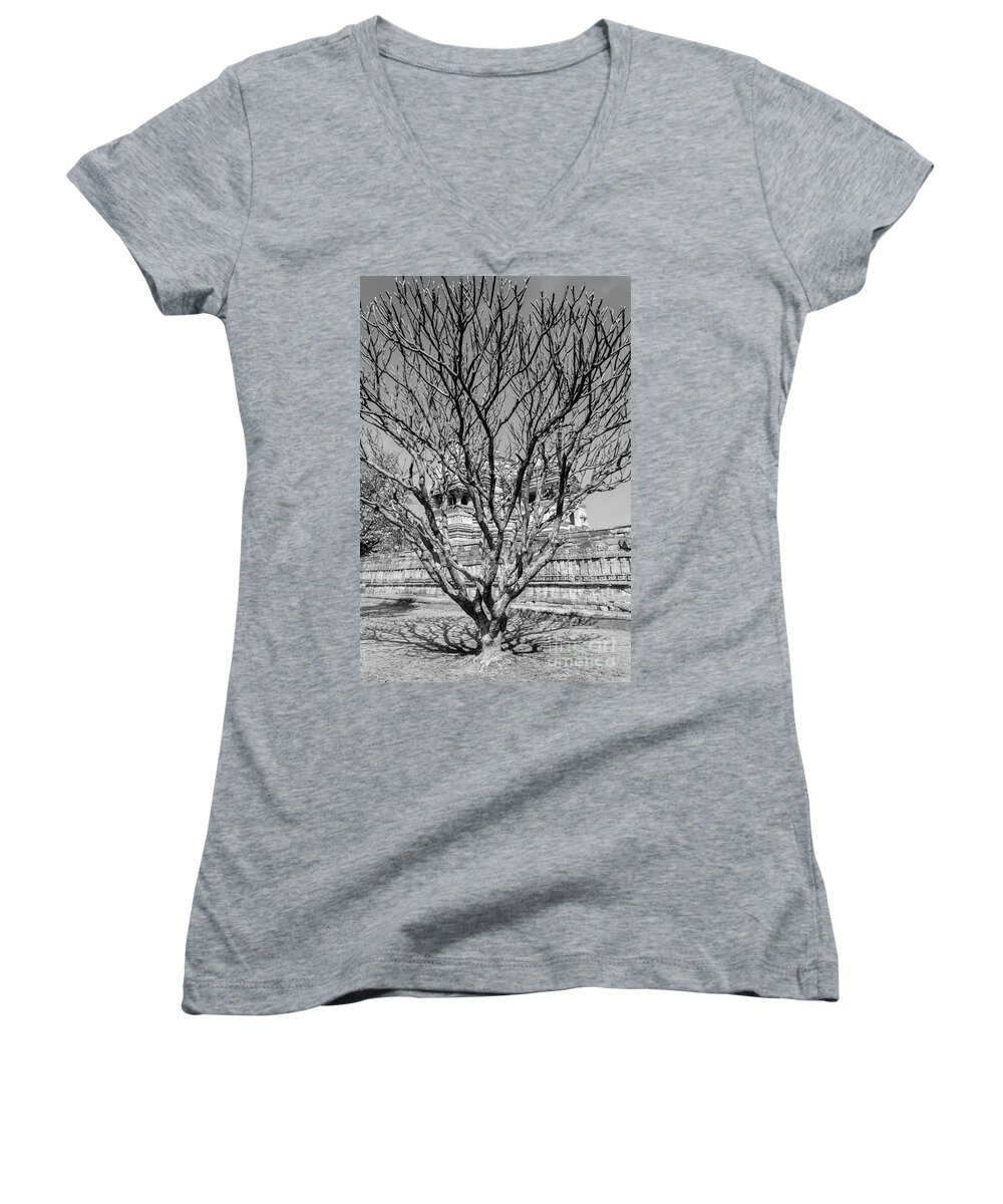 Tree Women's V-Neck featuring the photograph Tree and Temple by Hitendra SINKAR